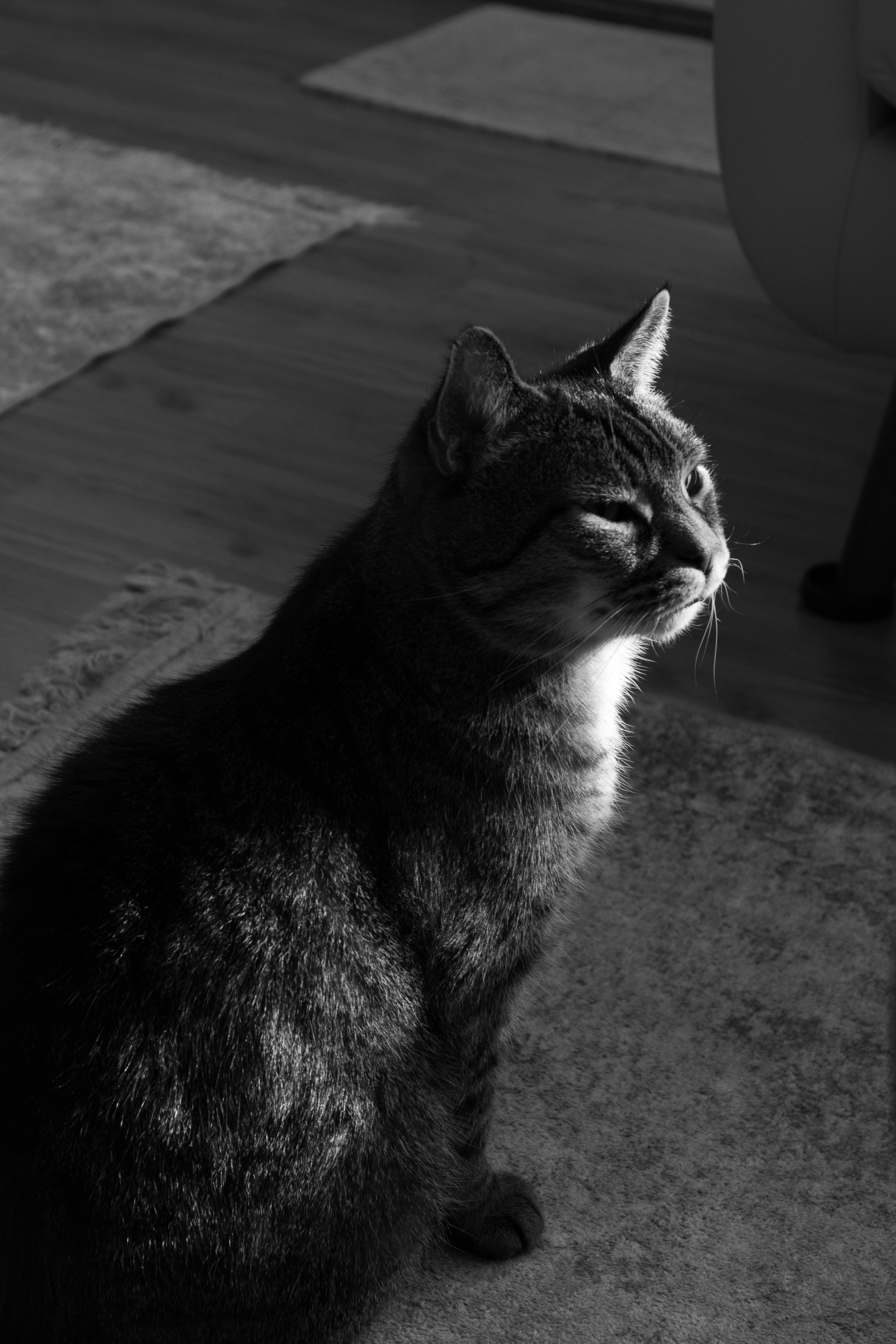 Photo from The Nature of Attention